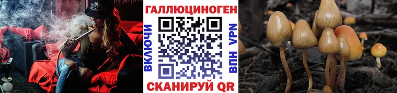 Галлюциногенные грибы мухоморы  blacksprut сайт  Камышлов 